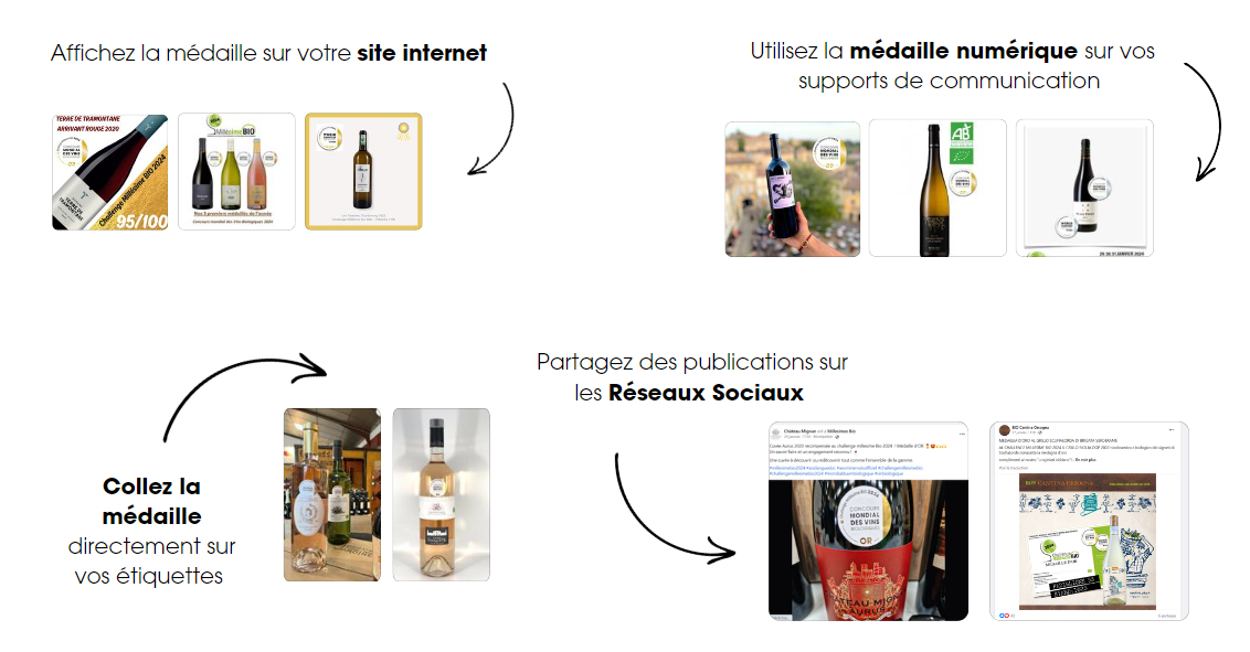 Capture d’écran 2024 08 28 162433 Capture d’écran 2024 08 28 162433
